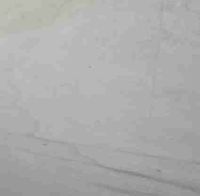 Pappelsperrholz B/BB EN314 12 mm